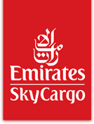 Skycargo Media Centre Logo